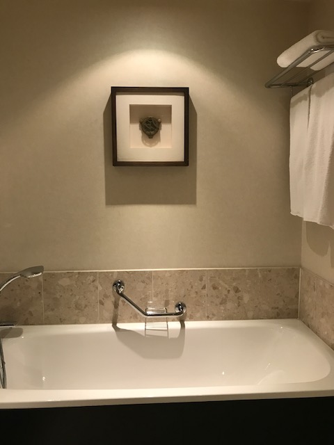 image7 (56)