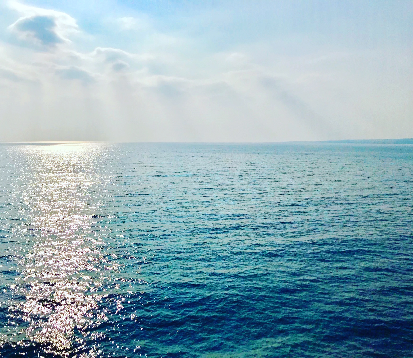 0F770E43-1E5C-4201-868B-11FE70717A7A