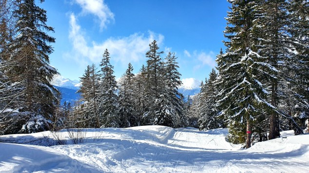 20200311_115659 - kopie